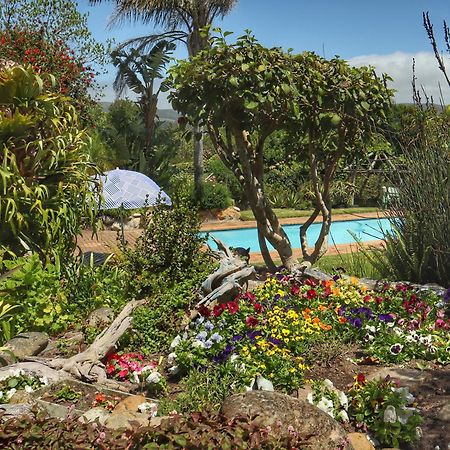 Footprints Of Knysna Apartment Bagian luar foto