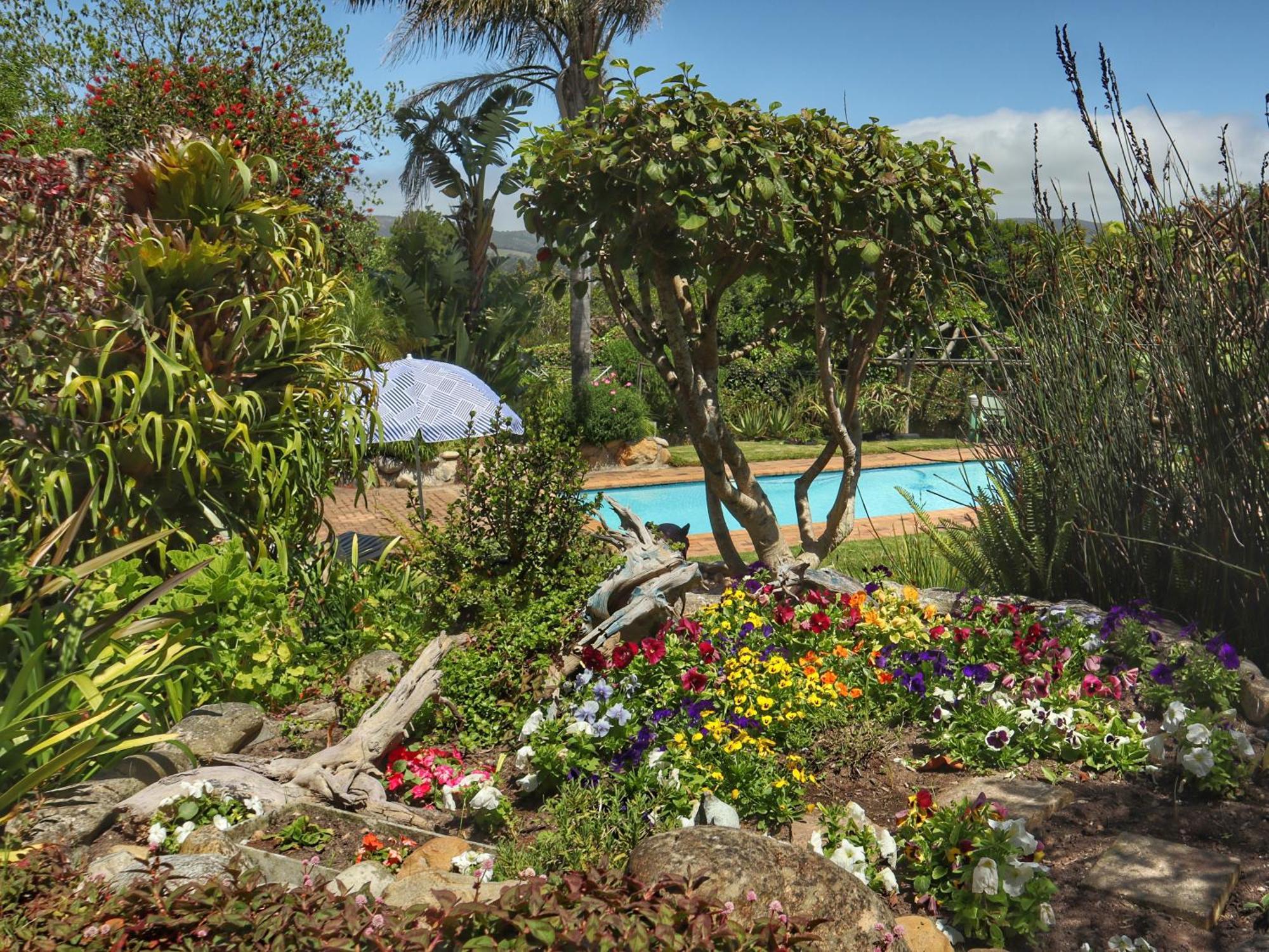 Footprints Of Knysna Apartment Bagian luar foto